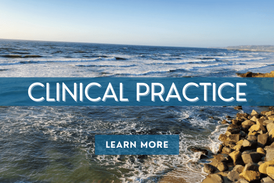 Clickable button which is a photo of an ocean's rocky shore that reads "Clinical Practice, Learn More." Clicking this button will direct you to Dr. Lauren Maltby's clinical practice website. 